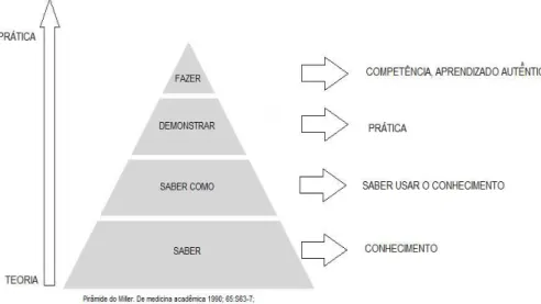 Figura 12 - Pirâmide de Miller 