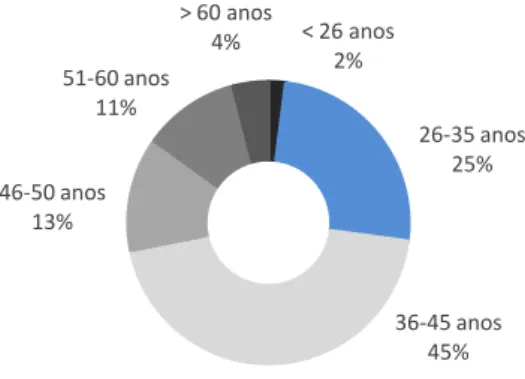 Figura 9 – Trabalhadores da Empresa P4, por Faixa Etária (%) 