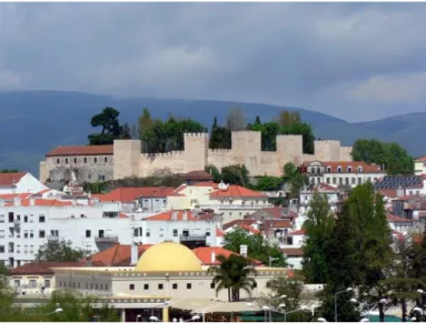 Figura 2 - Castelo de Torres Novas e vista parcial. 