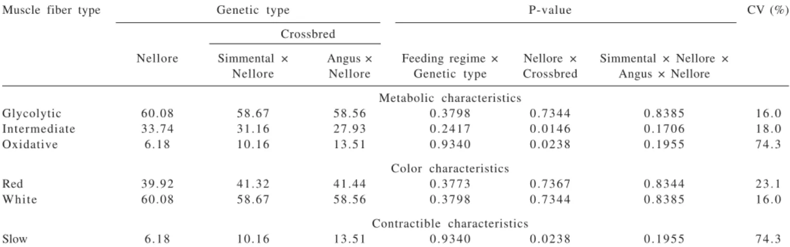 Table 3 - Proportion of muscle fibers of longissimus dorsi samples according to genetic type of animals