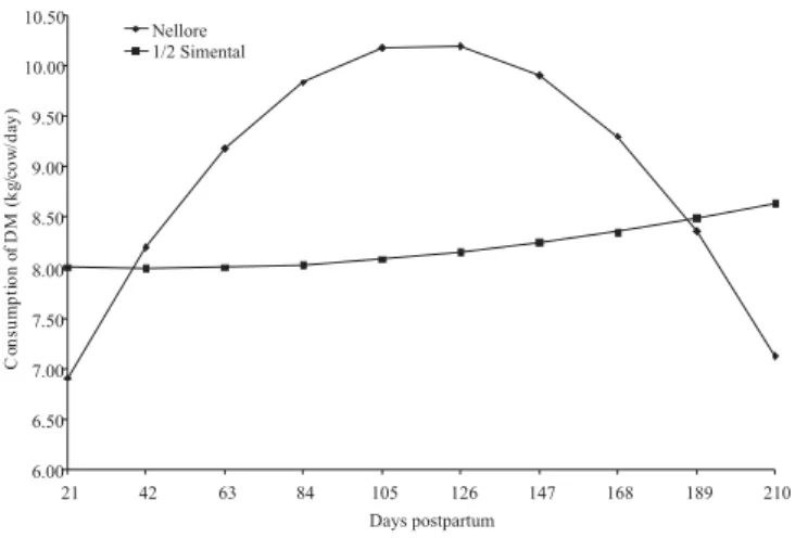Figure 5 - The consumption of pasture dry matter, unadjusted for body weight of Nellore cows and separated by genetic group of the calf, as a function of days postpartum.