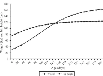 Figure 4 - Hip height growth curve and respective confidence intervals as a function of age of Nellore female calves reared on natural pastures in the Nhecolândia  sub-region, Pantanal.