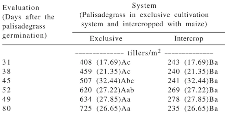 Table 4 - Total number of tillers of palisadegrass in exclusive cultivation system and intercropped with maize