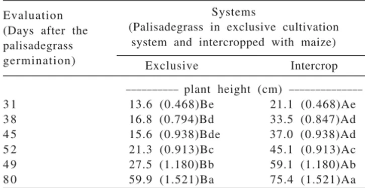 Table 5 - Average height of palisadegrass in exclusive cultivation system and intercropped with maize