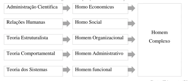 Figura 3- Composição do Homem Complexo 