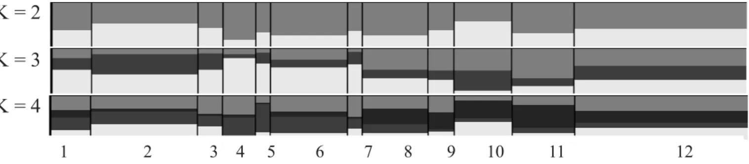Table 1 - Allocation probabilities of individuals in 12 genetic groups based on probabilities estimated with the software structure Populations: 1 = Baé; 2 = Canastra; 3 = Caruncho; 4 = Canastrão; 5 = Duroc; 6 = Landrace; 7 = Large White; 8 = Moura; 9 = Ma