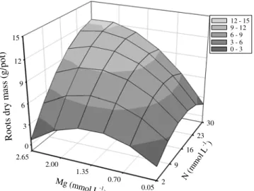 Figure 2 - Root length of Marandu palisadegrass with nitrogen and magnesium rates combined in nutrient solution.