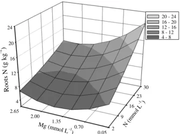 Figure 5 - Nitrogen (N) concentration in roots of Marandu palisadegrass with nitrogen and magnesium rates combined in nutrient solution.
