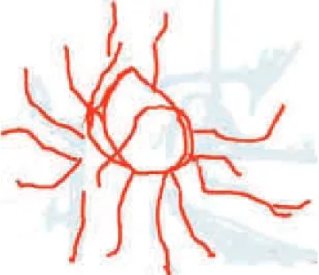 Fig. 8 – Luna ( anos): Mamãe sol 