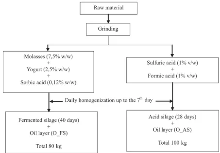Figure 1 - Acid and fermented silage production.