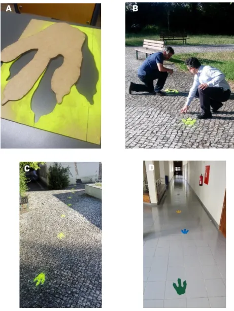 FIGURA 3. Molde de pegada de terópode (A) e construção da pista simulada no exterior (B, C) e no interior da escola (D).