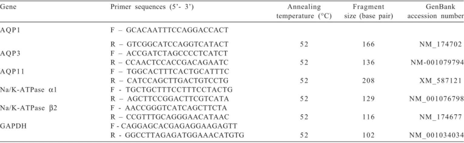 Table 1 - Description and characteristics of primer sequences used in real-time PCR for gene expression evaluation in bovine blastocysts