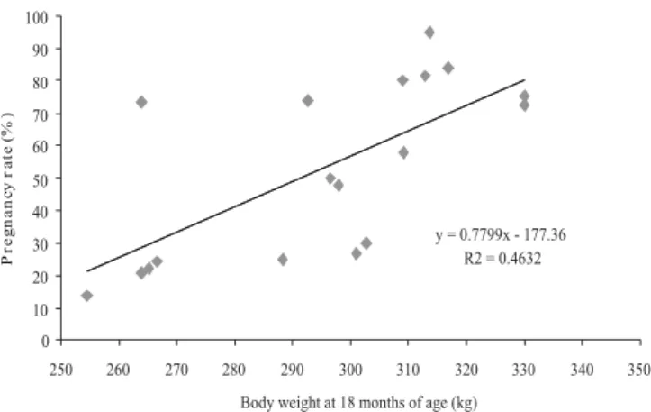Figure 3 - Scatter plot relating body weight at 18 months of age with pregnancy rate of the different groups of heifers analyzed (N = 18).