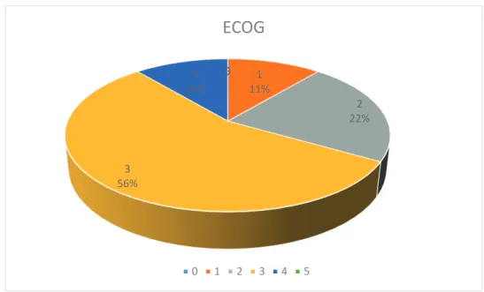 Gráfico 6 - Escala ECOG apresentada pelos doentes admitidos na UDCP TF, no período da PC 