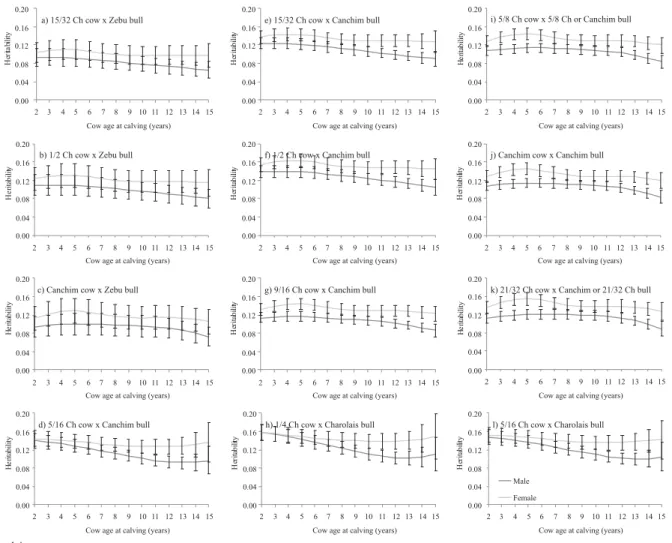 Figure 2 - A posteriori means and standard deviation for the direct heritabilities for weaning weight, in function of cow age at calving and calf sex, for the crosses available in the data set, assuming genetic heteroskedasticity.