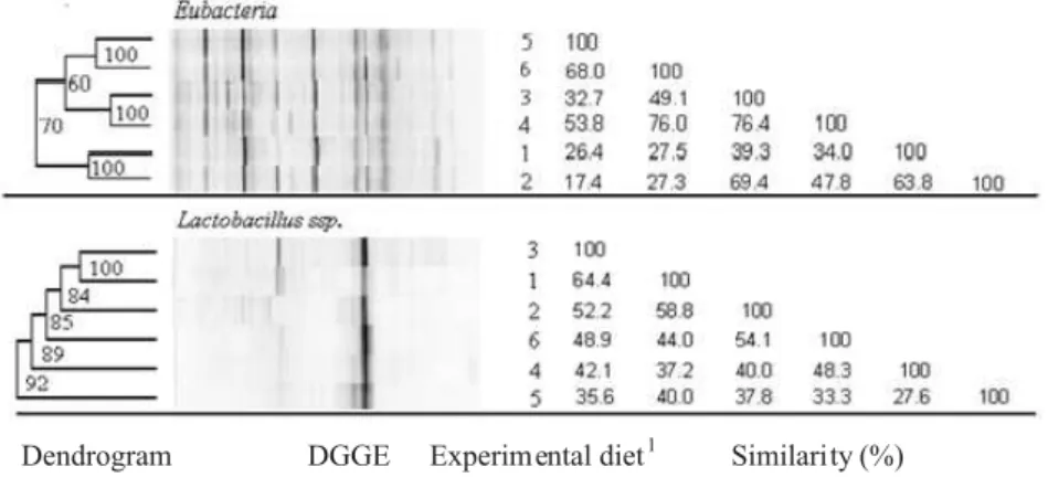 Figure 2 - Dendrogram with Cophenetic Coefficient, DGGE electrophoretic profiles and Similarity (%) of rDNA gene sequences of the colon proximal digesta of piglets fed diets containing 0, 4, and 8% lactose for Eubactéria and Lactobacillus spp.
