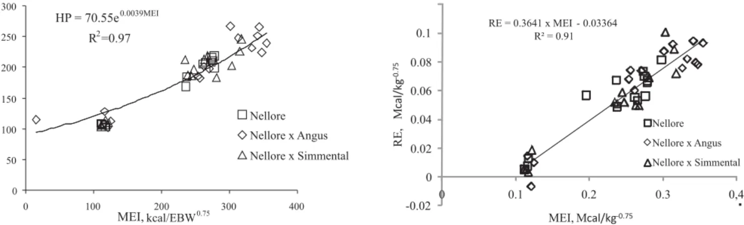 Table 4 - Participation of organs and viscera and their protein content and, internal fat of females of Nellore, F 1  Nellore × Angus and F 1  Nellore × Simmental