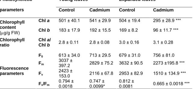 Table 2.2 – Effects of Cd stress on Chlorophyll a and b content, Chl a/ Chl b ratio and on  fluorescence parameters in young and expanded leaves of lettuce after 14 days of  exposure