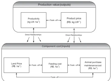 Figure 1 - Description of the direct and indirect relationships between variables determining the bioeconomic efficiency of beef cattle production systems.