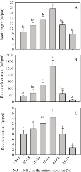 Figure 2 - Root growth parameters [total root length (A) and root  surface  area  (B)]  and  root  dry  matter  production  (C)  of  the  forage  grass  Panicum  maximum  supplied  with  nitrate (NO 3 - ) and ammonium (NH 4 + ) as N source in  the nutrient