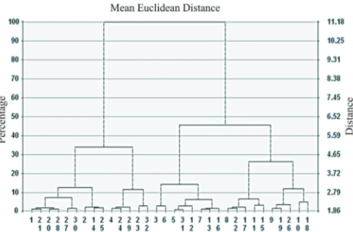 Figure 1 - Dissimilarity dendrogram of agronomic characteristics  of 32 sorghum cultivars.