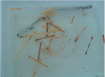 Figure 1 - Material found at the bottom of Group 3 tank number  ﬁve (farm tank) after emptying.