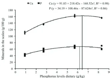 Figure  1  -  Concentrations  of  calcium  (Ca)  and  phosphorus  (P)  in  the  bones  of  the  vertebrae  of  pejerrey  ﬁngerlings (Odontesthes  bonariensis)  fed  different  levels  of  phosphorus in semi-puriﬁed diet.