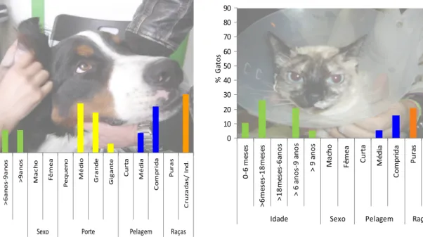 Figura 1 – Caracterização dos canídeos observados.                 Figura 2 – Caracterização dos felídeos  observados.