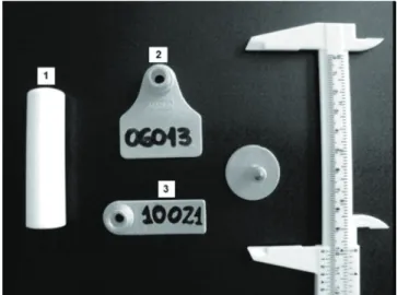Figure 1 - Identiﬁcation devices used in the study.