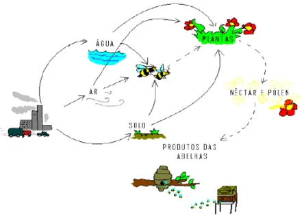 Figura 8. Fontes antropogénicas e naturais de metais pesados nos produtos das abelhas