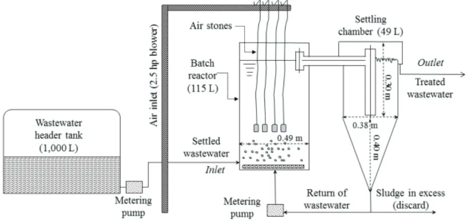 Figure 1 - A schematic diagram of the pilot-scale activated sludge system used in the present study.