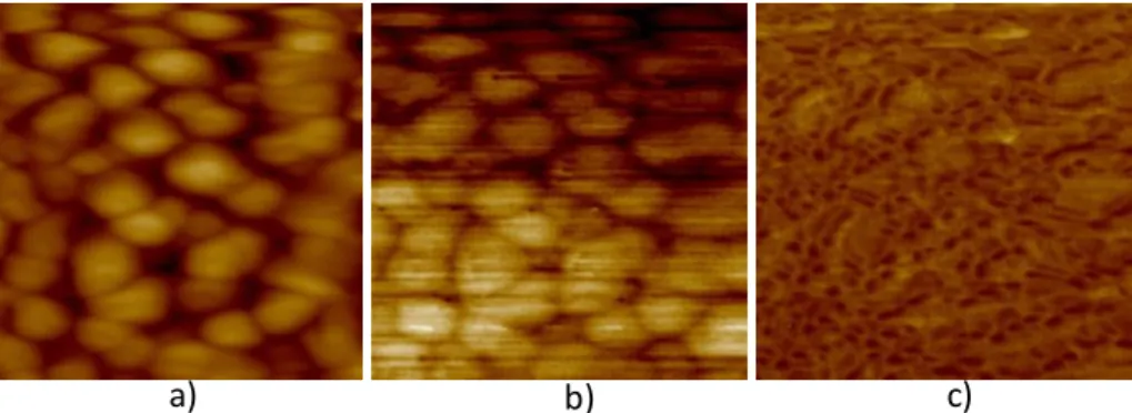 Figure 42 depicts the dielectric properties function of frequency for BP2700 film. Permittivity kept  high values and dielectric loss was substantially reduced when compared to previous BUT-CCTO  derived thin films