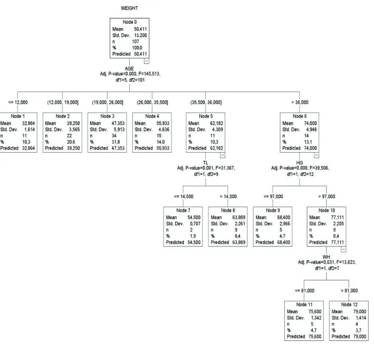 Figure 1 - Regression tree structure of CHAID algorithm.