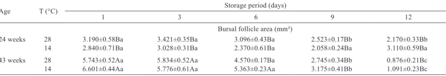 Table 6 - Development of the interaction between storage period and temperature of the quail eggs in relation to the percentage of the  follicles of the bursa of Fabricius which did not present severe lymphocytic lesions*