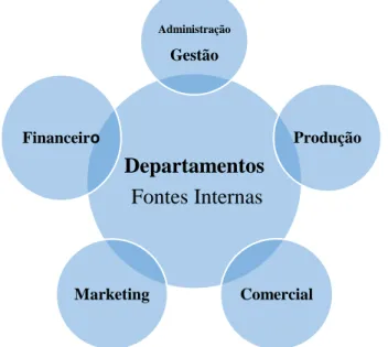 Figura 1.5 – Fontes internas de informação. 