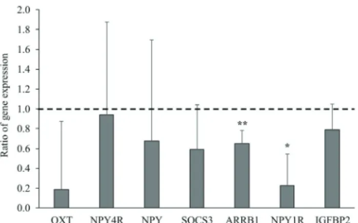 Table 3 - Effect of diets on age, live body weight, body condition  score,  and  carcass  composition  of  pubertal  Nellore  heifers