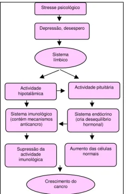 Figura 1 - Modelo corpo/mente de desenvolvimento do cancro                  Figura 2 - Modelo corpo/mente de recuperação do cancro