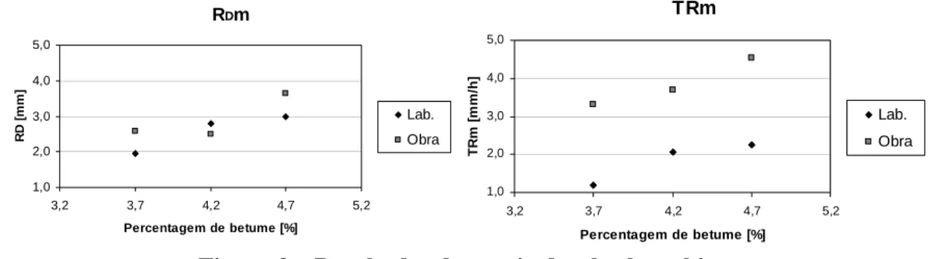 Figura 3 – Resultados do ensaio de wheel tracking. 