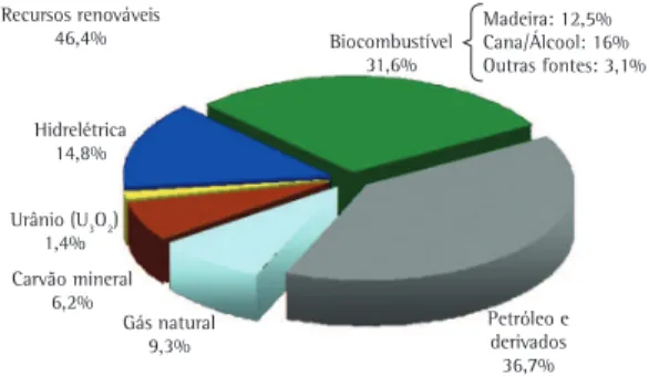 Figura 2. Distribuição da matriz energética no Brasil, ano  2008. Fonte: Balanço energético nacional (EMPRESA..., 2008).