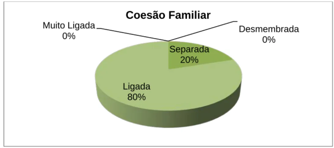 Gráfico 7: Distribuição das famílias segundo a sua coesão. 