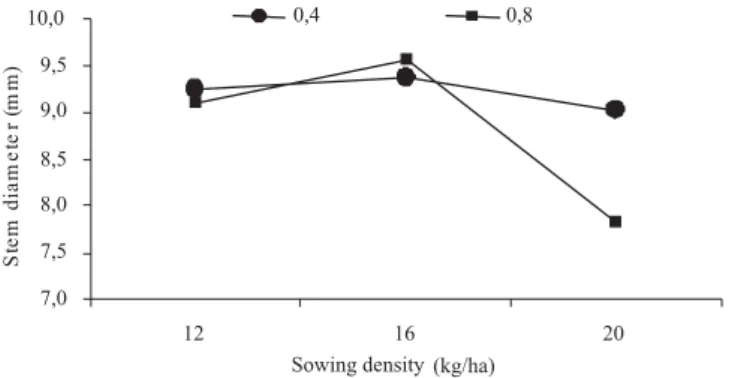 Table  3  - Productive characteristics of sorghum hybrid 1P400 grown in three sowing densities (kg/ha) and two different spacing between lines (meters) in the first season (from December 2004 to February 2005)