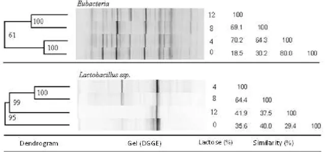 Figure 2 - Dendrogram, DGGE electrophoretic profiles, and similarity (%) of rDNA16S gene sequences of digesta content from the proximal colon of piglets fed diets with 0, 4, 8, and 12% lactose for Eubacteria and Lactobacillus spp.