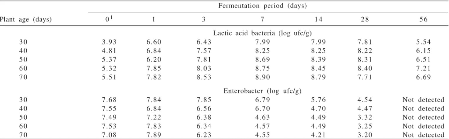 Table 4 - Count of lactic acid bacteria and enterobacter in signalgrass (Brachiaria decumbens cv
