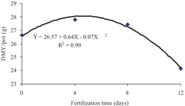 Figure 6 - Dry matter yield (DMY) per pot as a function of time of fertilization after cutting (mean values of the cultivars Xaraés and Marandu).