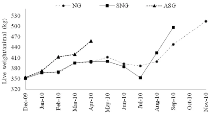 Figure 1 - Development of Aberdeen Angus steers (kg of live weight/animal) finished on natural grassland (NG), improved-natural grassland (ING) and annual summer grassland – sorghum (ASG).