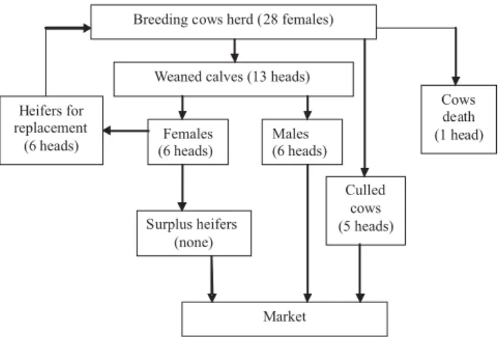 Table 1 - Animal production and herd performance indicators of low input beef cattle smallholders considered in economic weight calculations