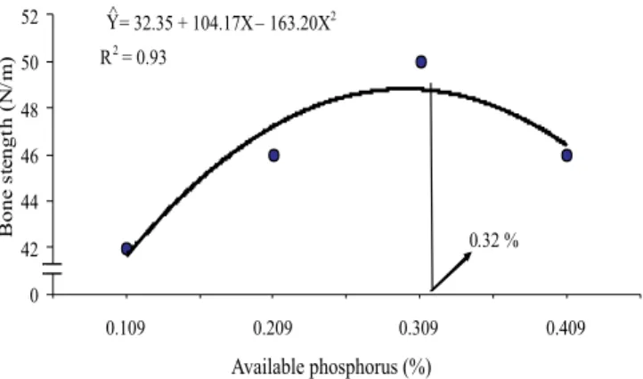 Figure 2 - Dietary available phosphorus levels effect in the bone strength of 94 to 125 kg gilts.