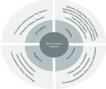 Figure  1  -  Main  dimensions  and  their  inﬂuence factors in beef consumption in Brazil.