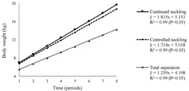 Figure 4 - Body weights of Santa Inês lambs from single and twin  pregnancies from the 14th day until the 60th day of age.