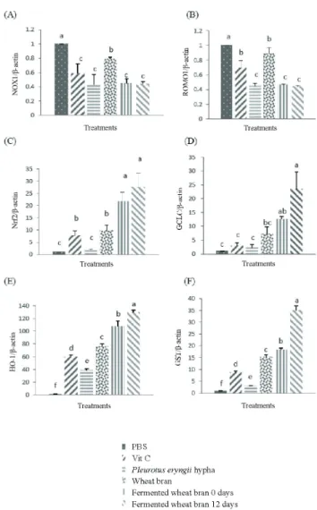 Figure 4 - mRNA expression levels of antioxidant-regulated genes  by  PBS,  vitamin  C,  Pleurotus  eryngii  hypha,  wheat  bran,  and  fermented  wheat  bran  at  0  and  12  days  in  chicken peripheral blood mononuclear cells.
